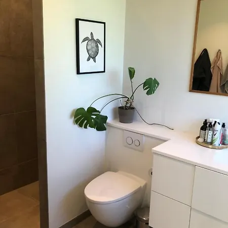 Spacious In Great Area Near Copenhagen וילה Virum